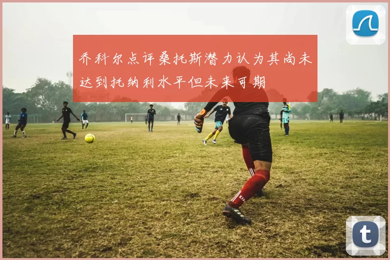 乔科尔点评桑托斯潜力认为其尚未达到托纳利水平但未来可期